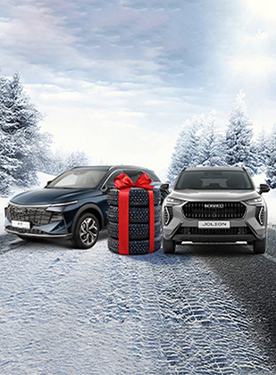 Комплект зимних шин и дополнительное оборудование в подарок