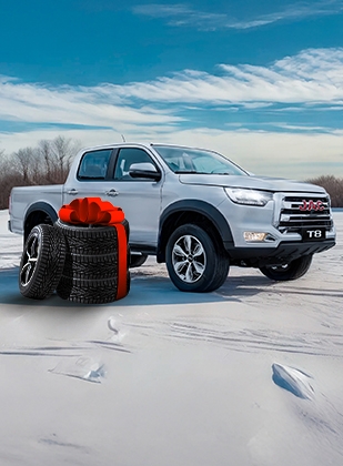 Новогоднее предложение с выгодой до 630 000 рублей и комплектом зимних шин в подарок!